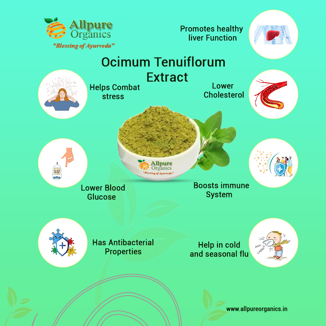 Ocimum Tenuiflorum Extract