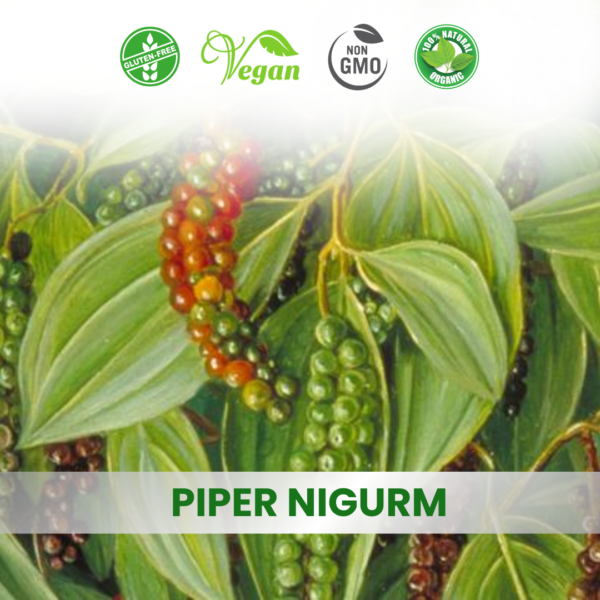 Piper Nigrum Extract (Copy)