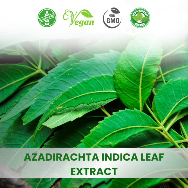 Azadirachta Indica Extract (Neem)